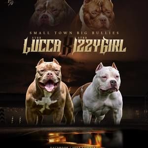 Meet your Posher, Joey